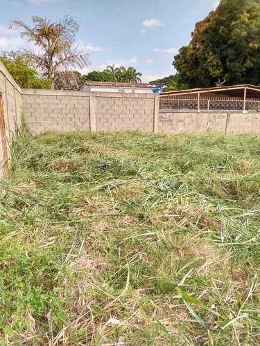 Imagen 3 de 6 de Terreno En Venta. Alto Barinas