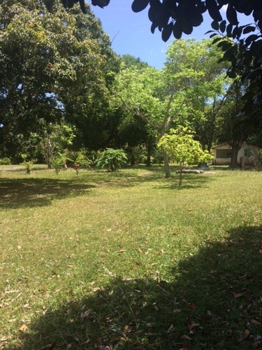 Melhor Área P/loteamento 91m Beira Pista, Granja 5.05 Hec, Guabiraba, Aceito Imóvel Ou Carro - Ch00009 - 67721727