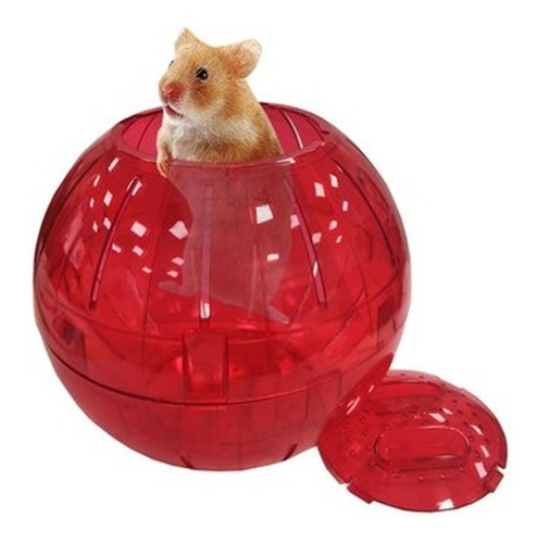 Bolas Esferas Para Hamster 19 Cm Diámetro Pethome Chile