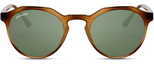 Imagen 2 de 7 de Anteojos Lentes De Sol Rimland Blink