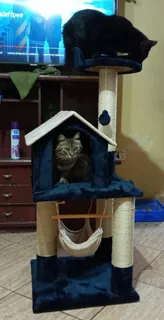 Casa Rascador De Gatos