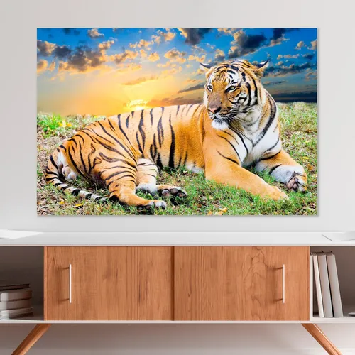 Quadro Decorativo Grande Tigre Deitado Horizontal 90x60 | MercadoLivre