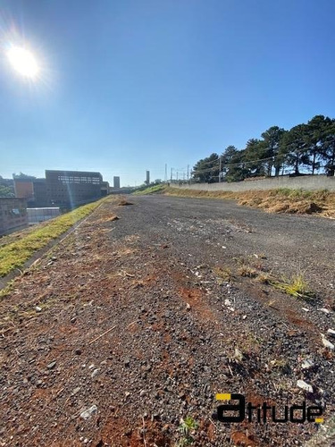 Imagem 5 de 10 de Área 5.700 M² Comercial Para Locação Em Barueri - Sp - 4755