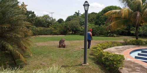 Imagen 6 de 25 de Casa En Safari Municipio Libertador