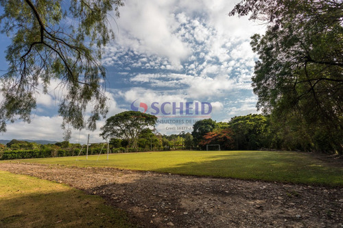 Imagem 6 de 15 de Casa Morungaba - Quinta Dos Maias - Mr76388