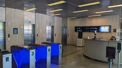 Imagen 2 de 11 de Oficina En Alquiler | Carlos Pellegrini 719 | Piso De 479 M²