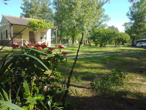 Chacra De 3, 3 Ha. Casa Principal E Instalaciones Habilitada Para Eleboracion De Conservas,