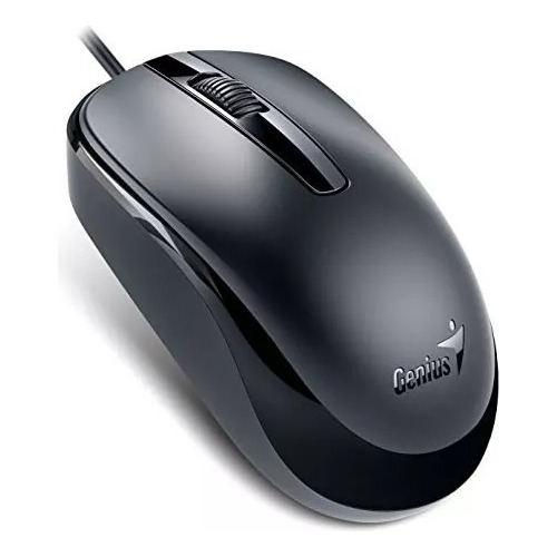 Mouse Genius Dx-120 Usb 