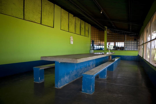 Imagen 8 de 25 de Finca Bufalina Barinas, Parroquia San Silvestre En Venta