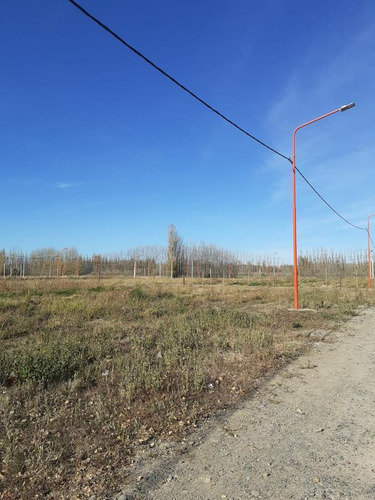 Imagen 6 de 9 de Terreno - Vista Alegre Sur
