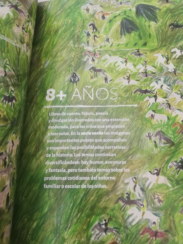 Literatura Infantil Y Juvenil 2020 Castillo (Usado)
