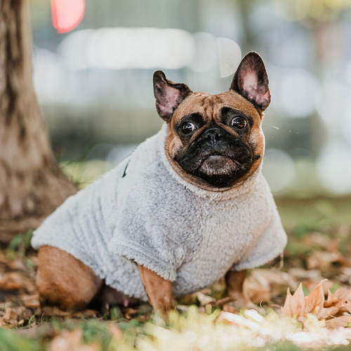 Corderito Petlounge Con Mangas Para Mascotas Perro Y Gato Gris Talla 2