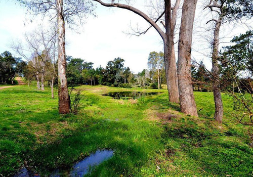 Quinta | A 10km De Ruta Intelbalneria