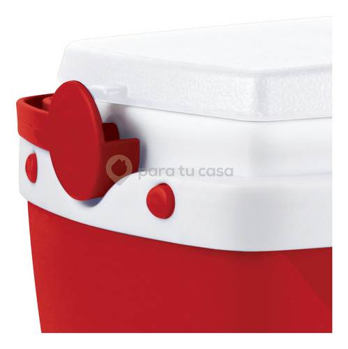 Imagen 5 de 10 de Lunchera Heladerita Conservadora Camping Escolar 6 Lts.