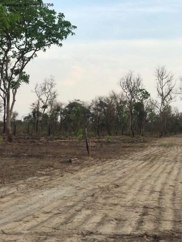 Imagem 7 de 15 de Lote Para Venda Em Acorizal, 07 De Maio - 10117_1-2260711