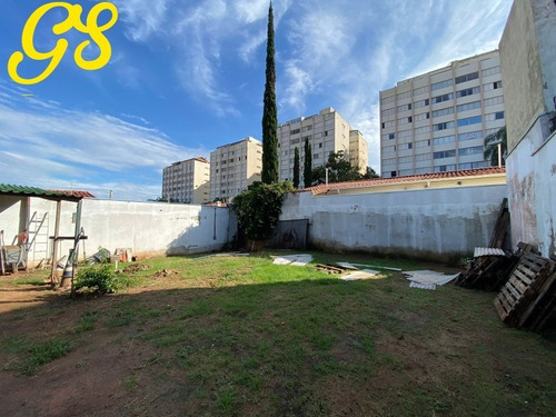 Imagem 16 de 21 de Terreno Venda Oportunidade Jardim Chapadão Campinas - Te00248 - 32165421