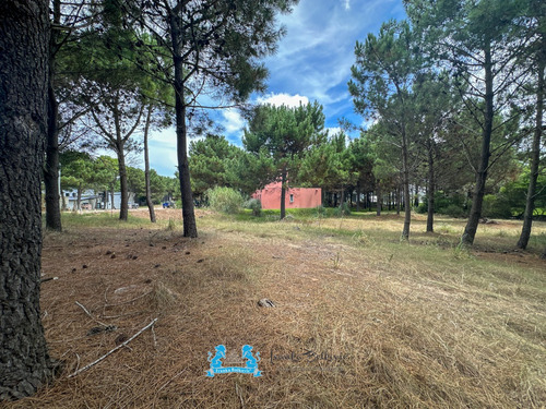 Venta Oportunidad Lote - 1354 Metros - Costa Esmeralda Barrio Residencial 1