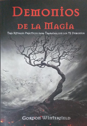 Demonios De La Magia - Gordon Winterfield - Fdh