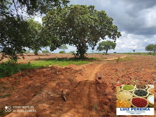 Imagem 4 de 14 de Fazenda À Venda Em Santa Rita Do Pardo - Ms - 650 Hectares (pecuária) - 1657