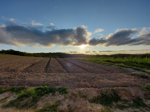 Imagem 21 de 24 de 10o', Terreno Cotia 500m² 35mil !