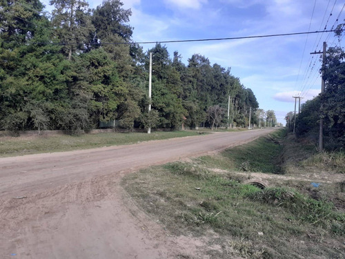 Imagen 13 de 15 de Terreno En Venta En Barrio El Chaqueño