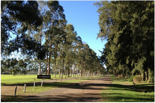 Venta Terreno Esquina Santo Tomás