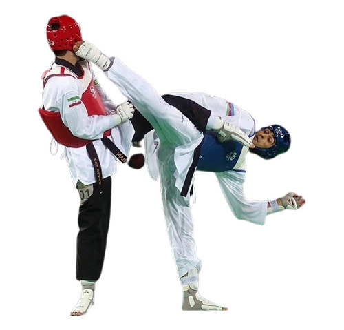 Programa Mundial De Entrenamiento Taekwondo