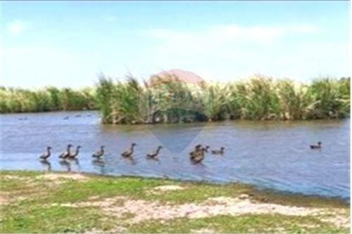 Imagen 4 de 12 de Venta Lote Al Lago Campos De La Enriqueta La Plata