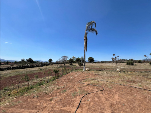 Terrenos En Venta Patzcuaro Facilidades De Pago