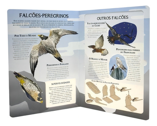 Livro-modelo: Aves De Rapina, De Fullman, Joe. Editorial Todolivro, Tapa Mole En Português