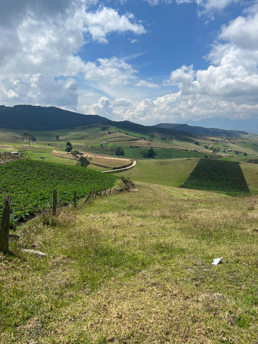 Lote Chocontá- Vereda Pueblo Viejo. Km 8 