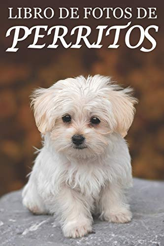 Libro De Fotos De Perritos: Ayuda Para Personas Mayores Con