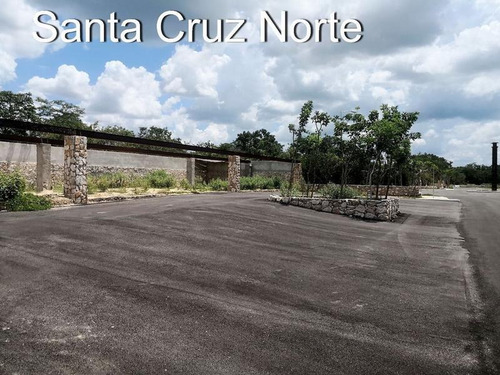 Imagen 16 de 21 de En Venta Terreno De 9 Hectáreas En Mérida Yucatán, Cerca De Periférico