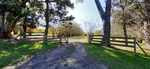 Fraccion De 8.1000 M² Parquizada Y Forestada