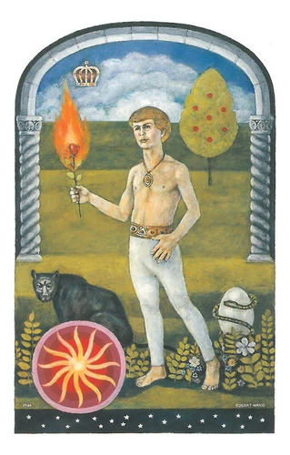 The Jungian Tarot Deck. Cartas + Guia En Inglés