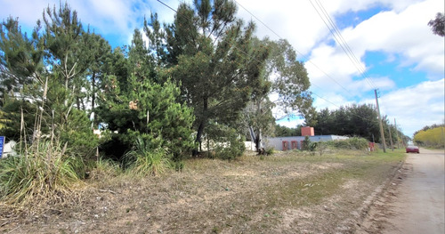 Venta Lote Terreno En San Bernardo 995 M2 Barrio Residencial