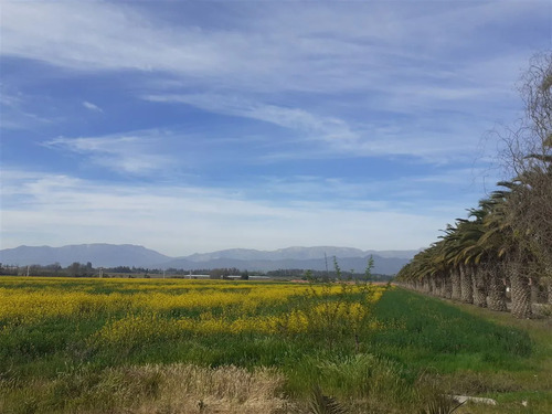 Ultimas Dos Parcelas En Venta En Isla De Maipo