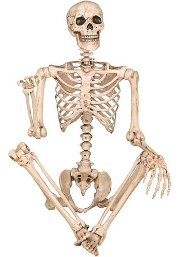 Esqueleto De Pose Estatica, Loco Bonez