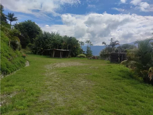 Lote En Girardota Vereda El Limonar