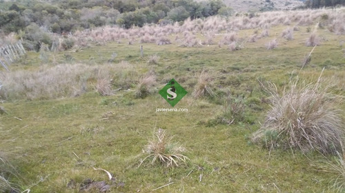 Venta De Chacra En Garzon, 8 Hectareas, Con Edificacion Para Reciclar Y Agua Permanente.- Ref: 167293