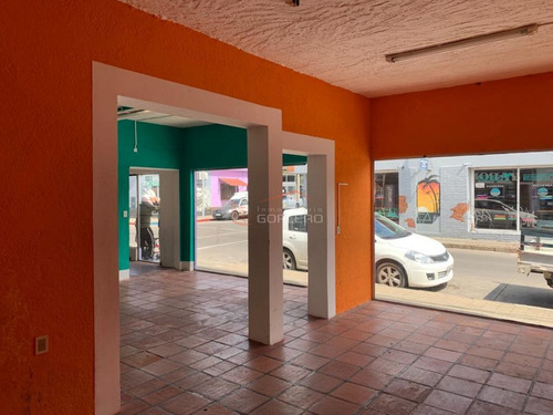 Imagen 8 de 14 de Local En Venta En Centro Maldonado, Maldonado