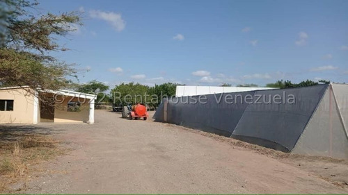 Imagen 3 de 30 de Fina En Venta Quibor Estado Lara, 04245937542