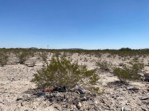 Terreno En Venta En San Fernando, Lerdo, Durango