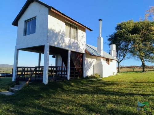 Imagen 3 de 20 de Vendo Chacra 5 Hectateas Con Casa En Ruta 39, Las Cañas - Las Cañas Las Cañas