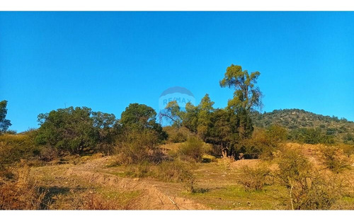 Terreno En Colchagua