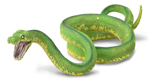  Serpiente Piton Árbol Verde 