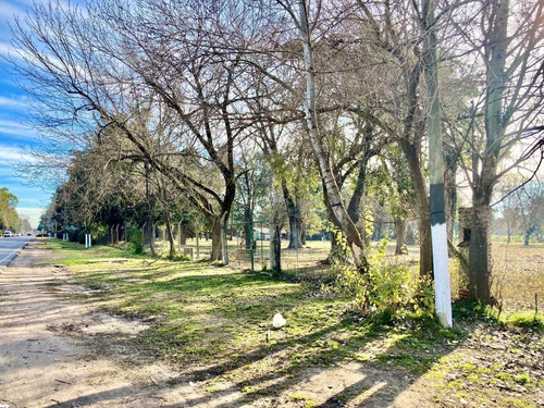 Imagen 3 de 21 de Venta Excepcional Fracción De 29.600 M² Calle Chile - Pilar