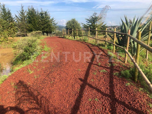 Nuevos Lotes De Terreno En Venta, Tlalpujahua