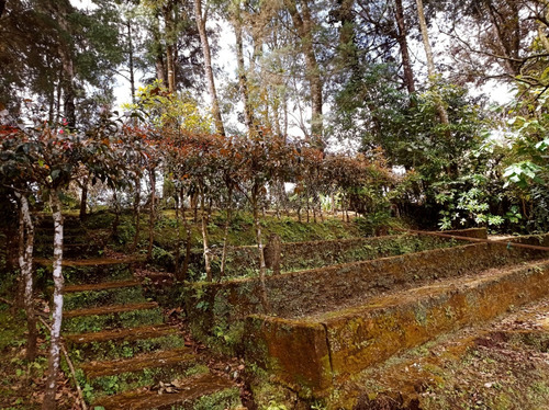 Imagen 17 de 30 de Vendo Bonita Granja, Media Manzana De Terreno, Ubicada A Orilla De Carretera Pavimentada, Muy Cerca De San Lucas Sacatepequez