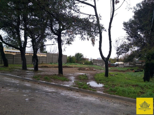 Imagen 3 de 4 de Venta De Lotes